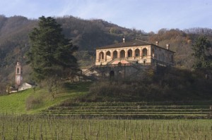 Tripadvisor - studio di Giovanni Cataldi - صورة ‪Villa dei Vescovi‬،  ‪Luvigliano‬